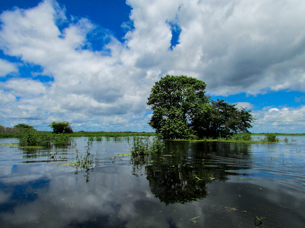 Paisajes del Llano